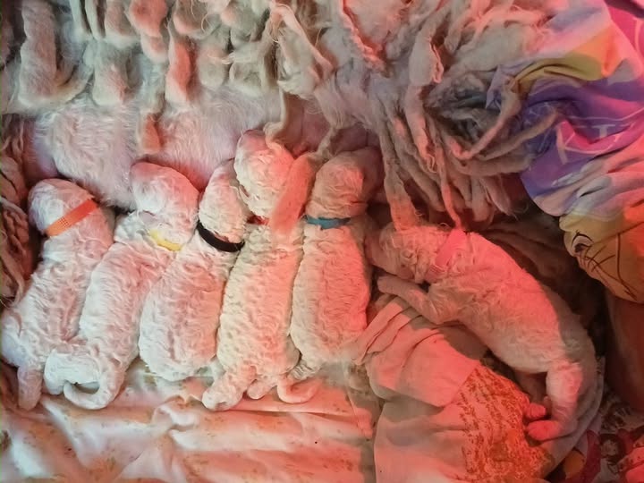 hello world, we’re here!